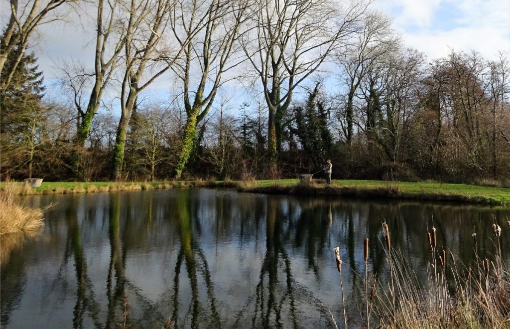 Man fishing in a serene lake from afar, catching fish.