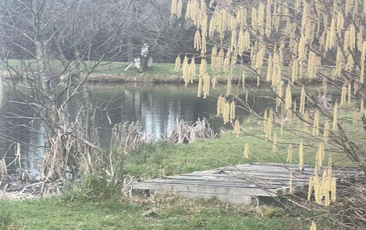 View of a fishing bank taken on the Trout Fly Fishing Competition: 7th John Hardley Memorial